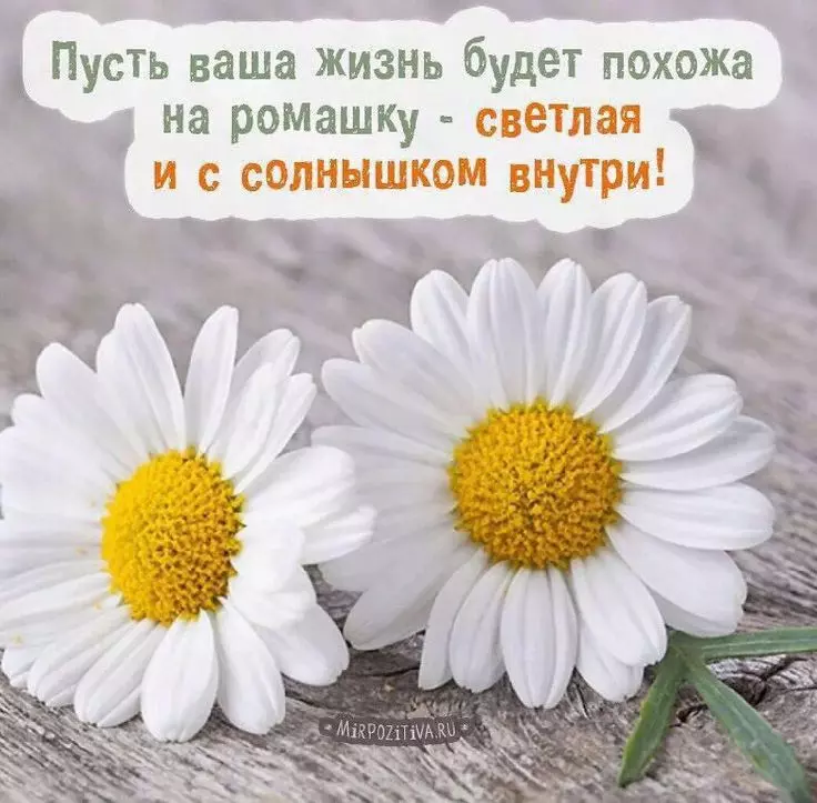 Tapтaлeтки & Ко