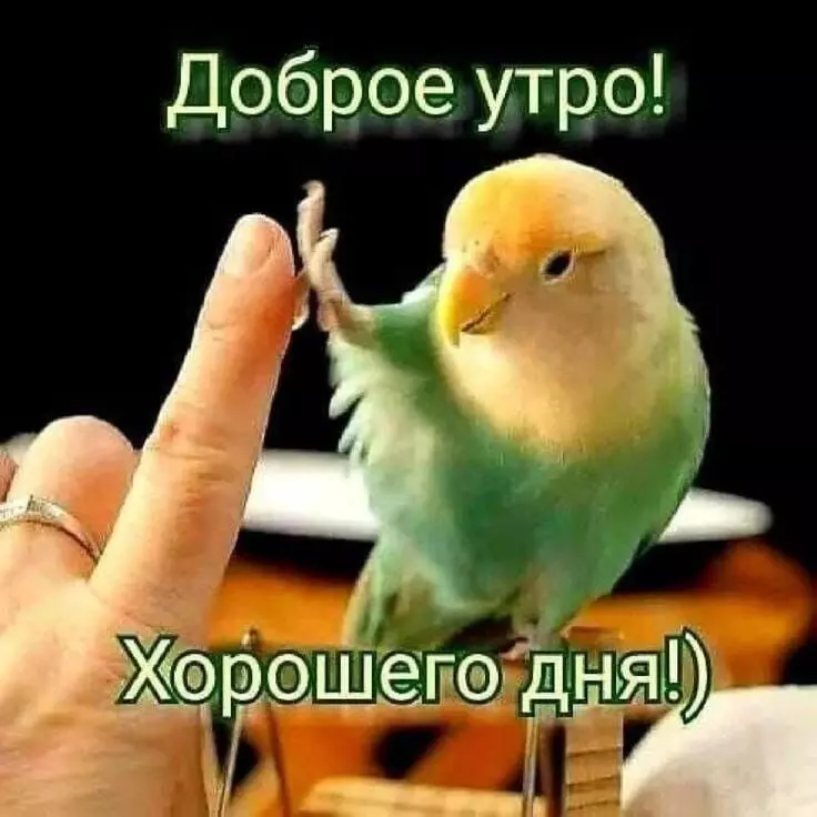 Tapтaлeтки & Ко