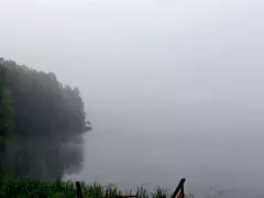 Tapтaлeтки & Ко