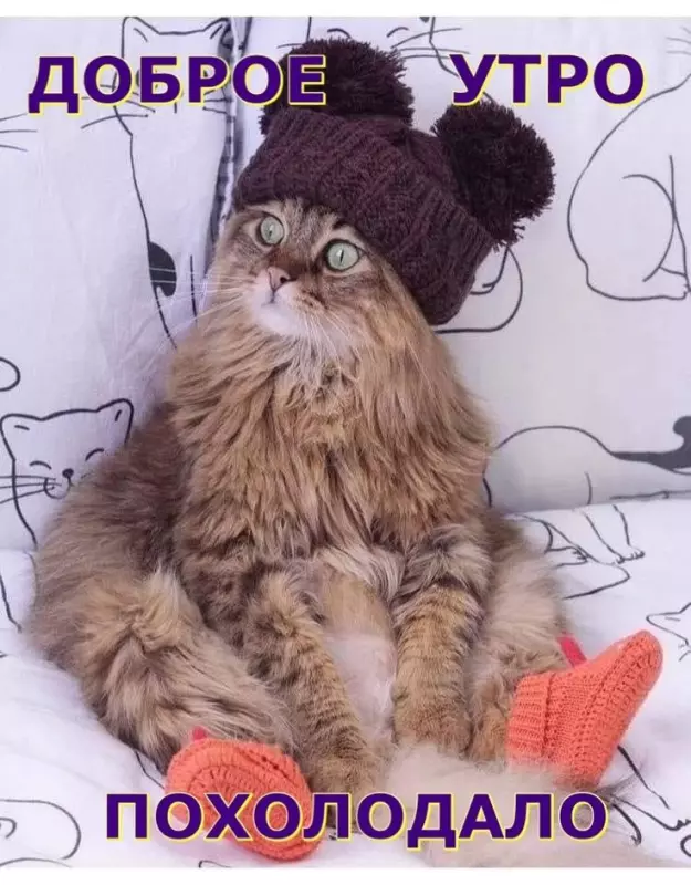 Tapтaлeтки & Ко