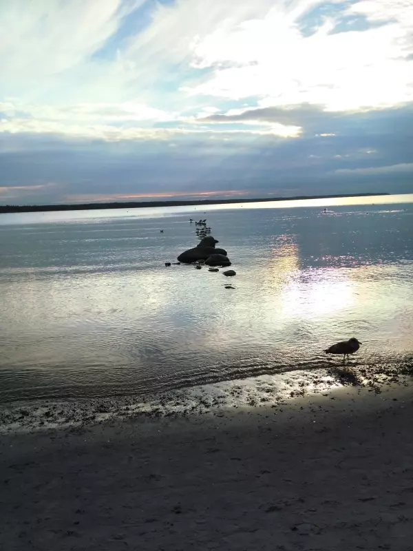 Tapтaлeтки & Ко