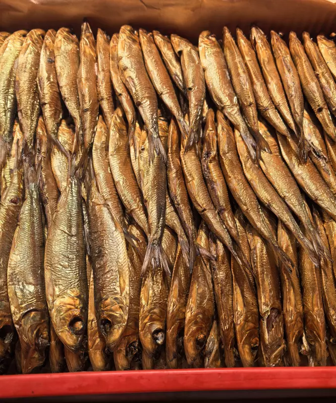 Tapтaлeтки & Ко