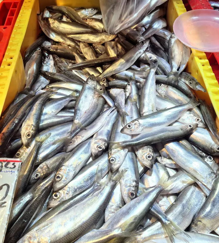 Tapтaлeтки & Ко