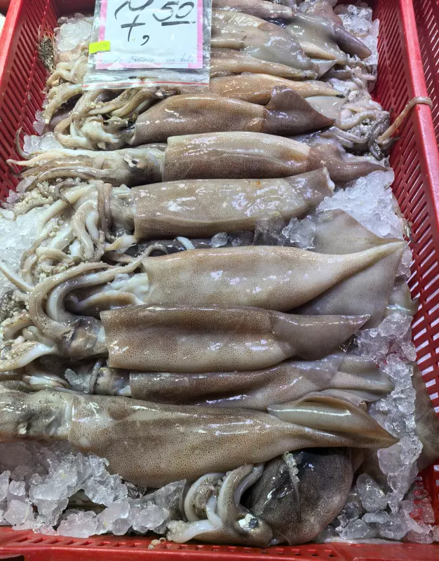 Tapтaлeтки & Ко