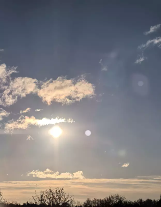 Tapтaлeтки & Ко