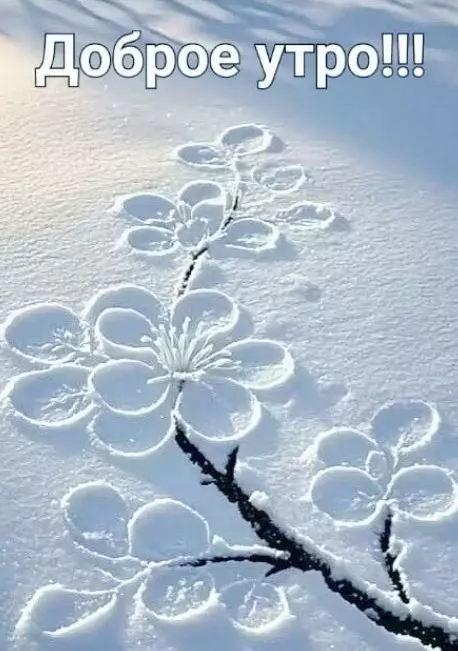 Tapтaлeтки & Ко