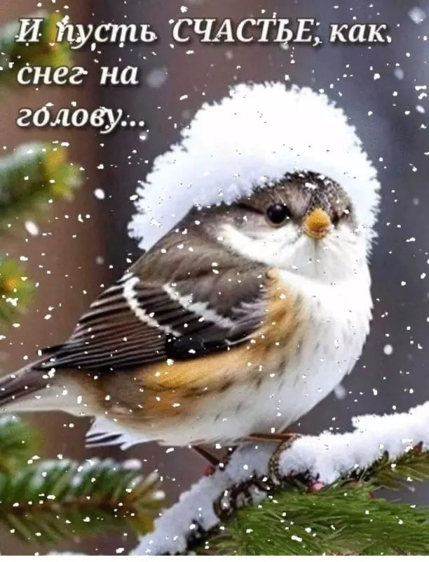 Tapтaлeтки & Ко