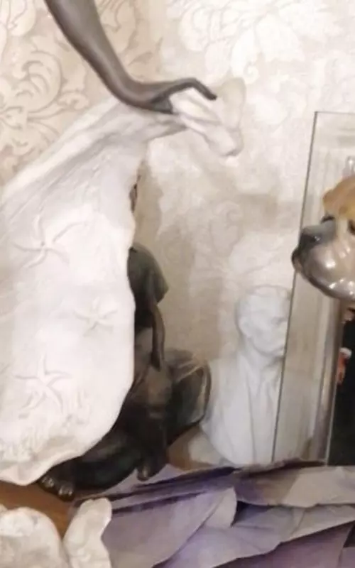 Tapтaлeтки & Ко