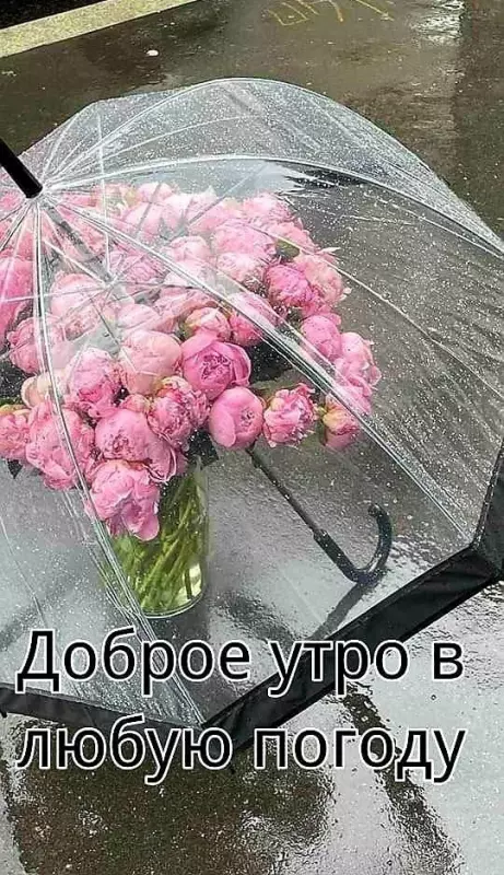 Tapтaлeтки & Ко