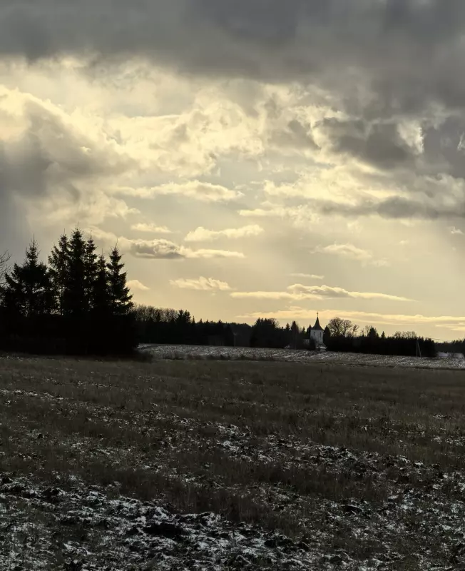 Tapтaлeтки & Ко