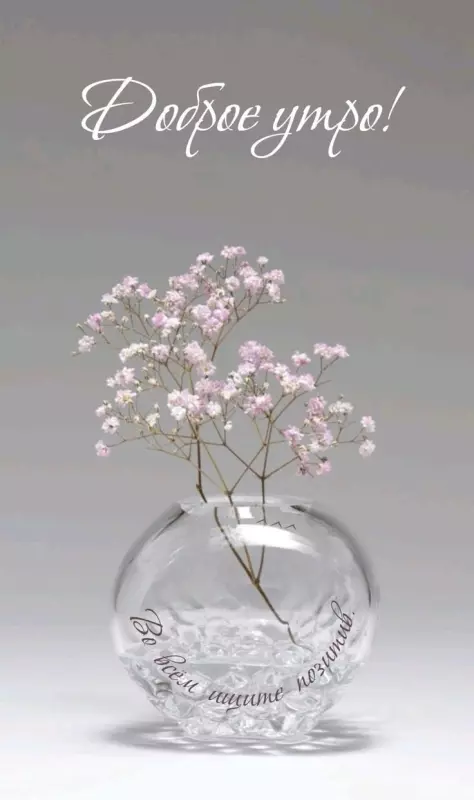 Tapтaлeтки & Ко