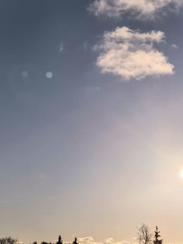 Tapтaлeтки & Ко