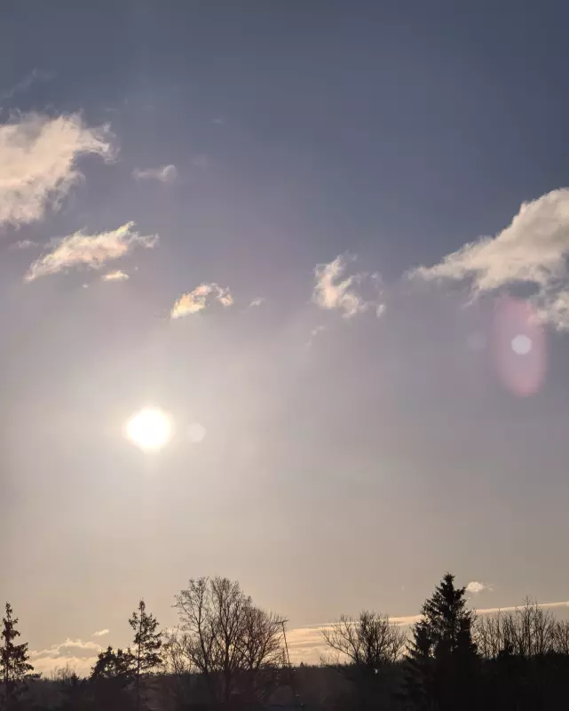 Tapтaлeтки & Ко