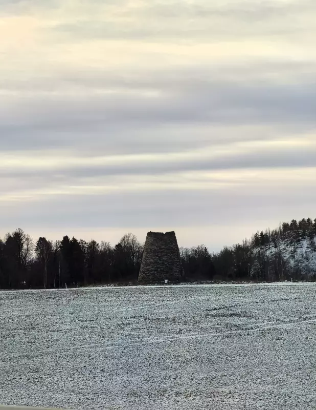 Tapтaлeтки & Ко