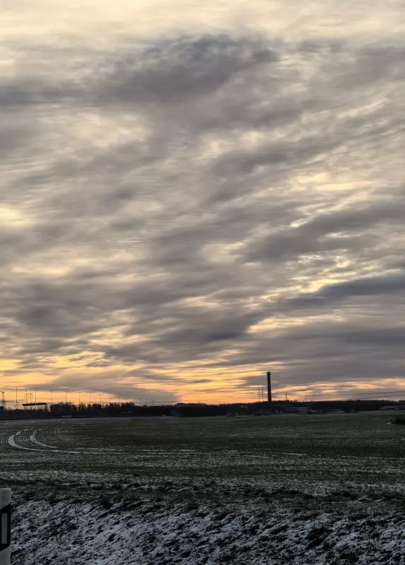 Tapтaлeтки & Ко