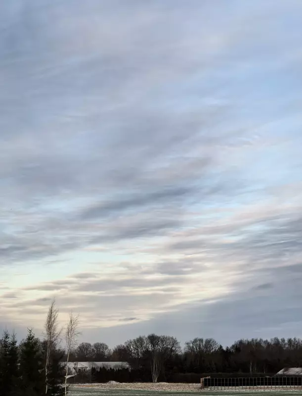 Tapтaлeтки & Ко