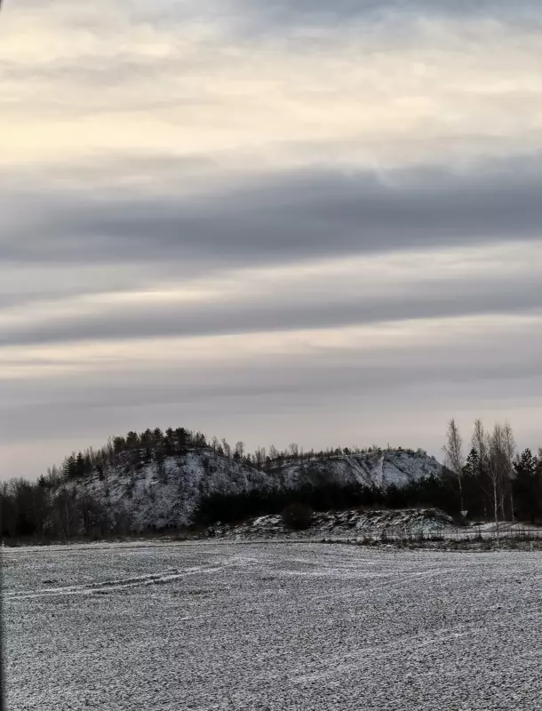 Tapтaлeтки & Ко