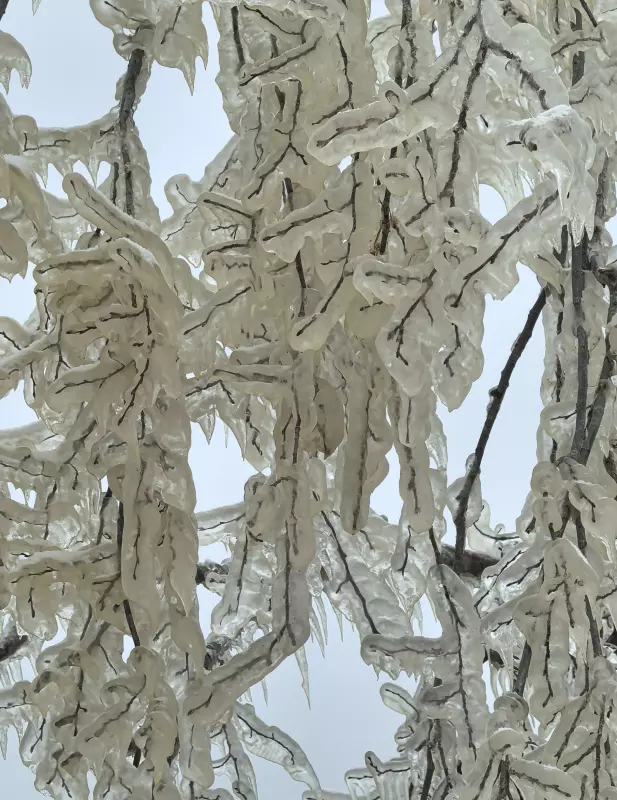 Tapтaлeтки & Ко