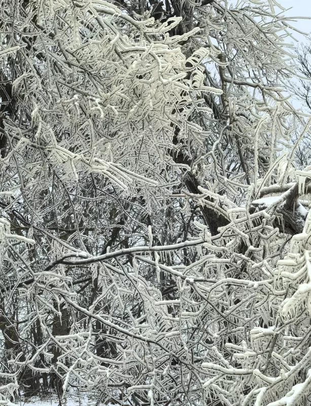 Tapтaлeтки & Ко