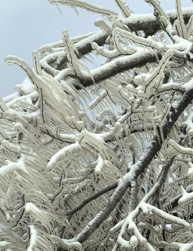 Tapтaлeтки & Ко