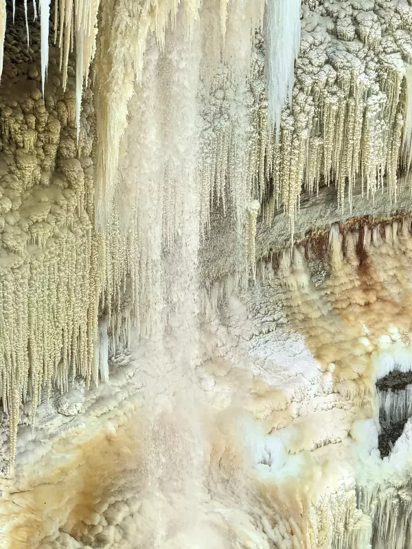 Tapтaлeтки & Ко