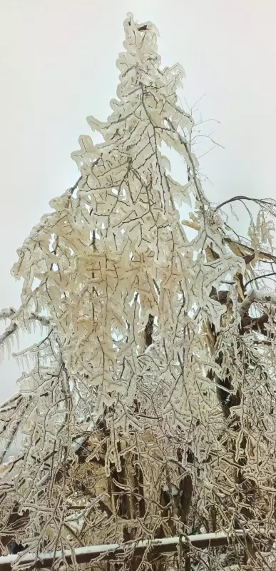 Tapтaлeтки & Ко