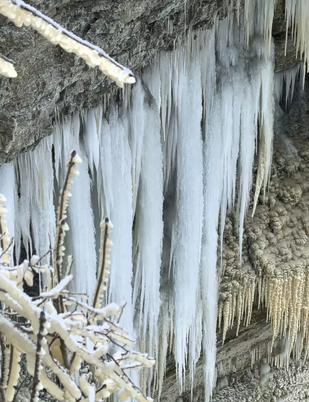 Tapтaлeтки & Ко