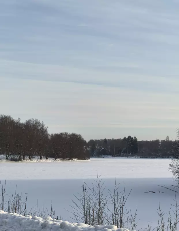 Tapтaлeтки & Ко