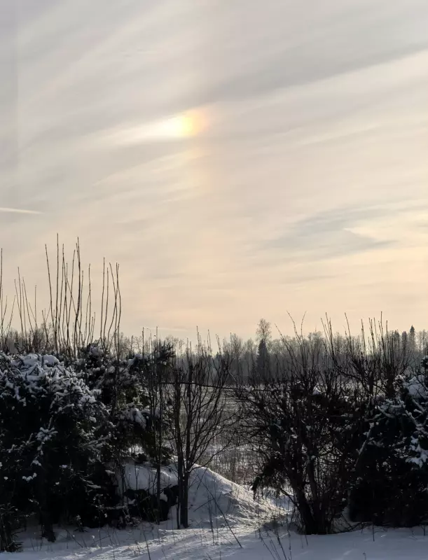 Tapтaлeтки & Ко