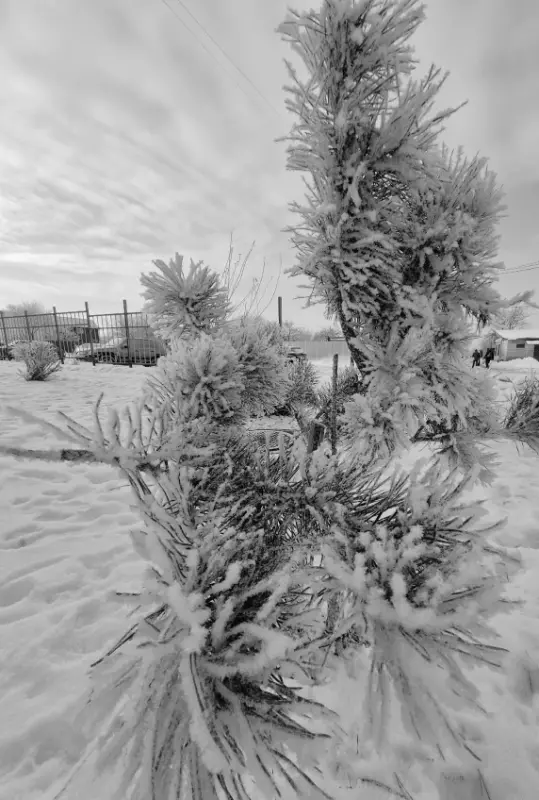 Tapтaлeтки & Ко