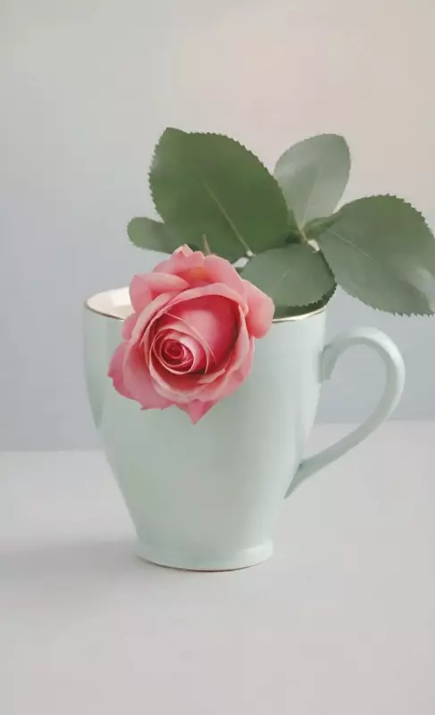 Tapтaлeтки & Ко