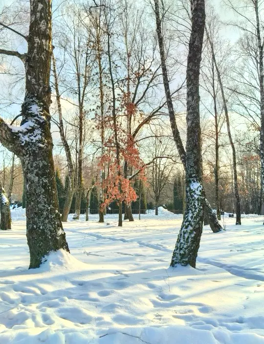 Tapтaлeтки & Ко