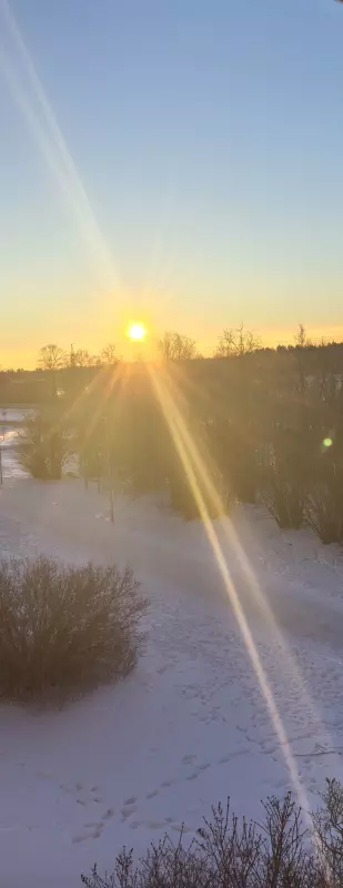 Tapтaлeтки & Ко