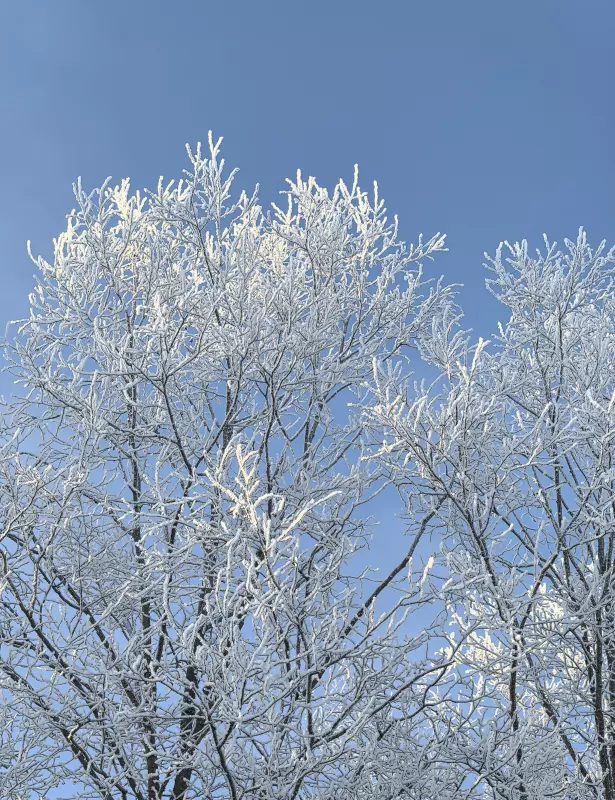 Tapтaлeтки & Ко