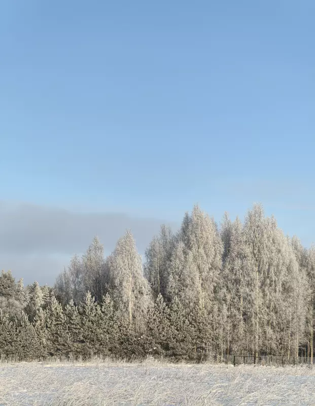 Tapтaлeтки & Ко