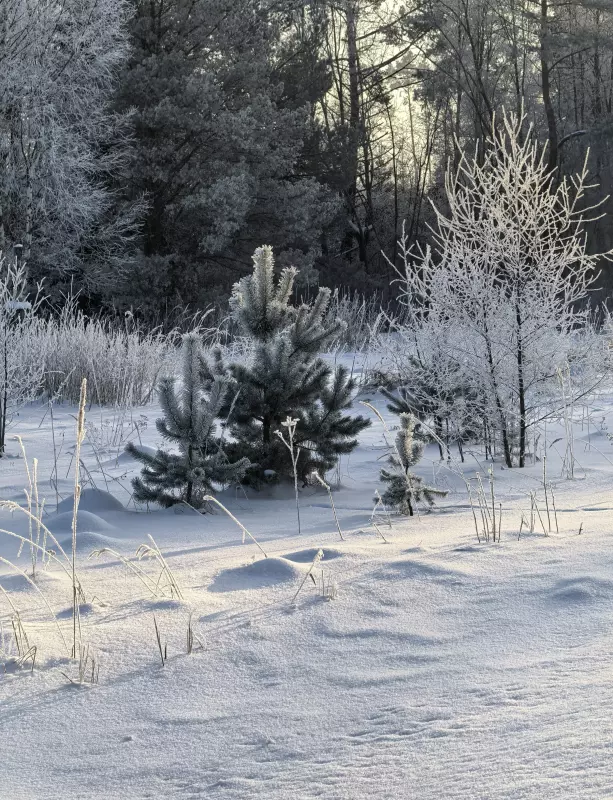 Tapтaлeтки & Ко