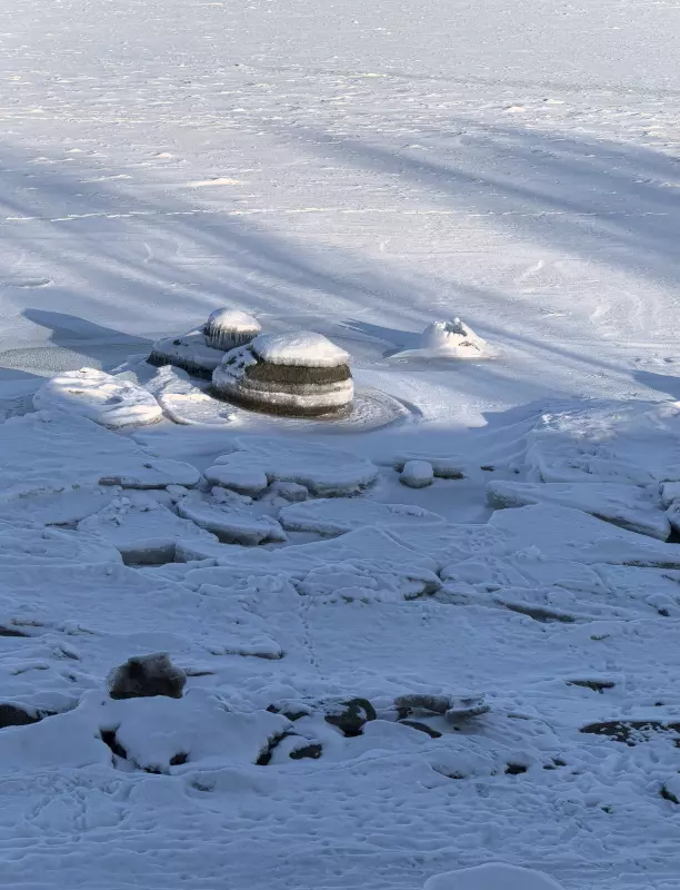 Tapтaлeтки & Ко