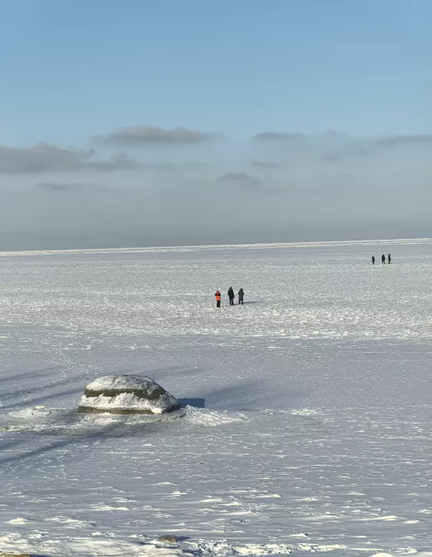 Tapтaлeтки & Ко