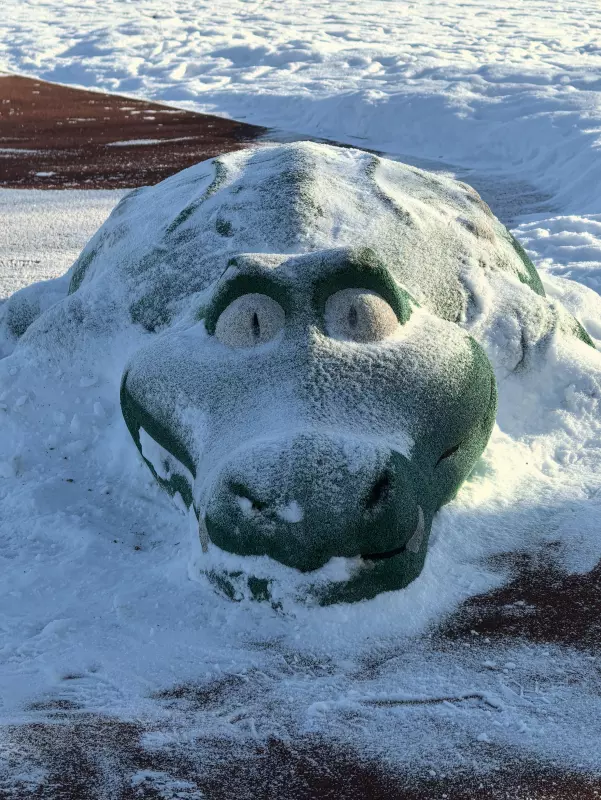 Tapтaлeтки & Ко