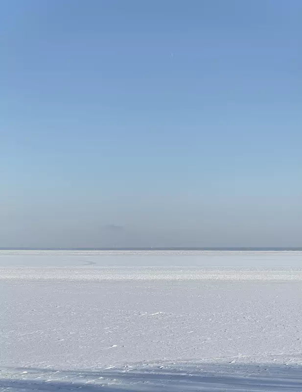 Tapтaлeтки & Ко