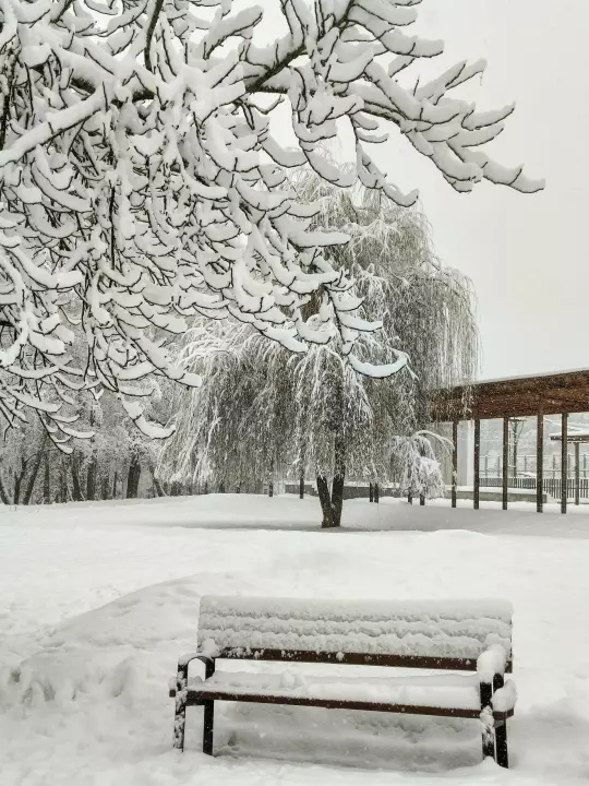 Tapтaлeтки & Ко