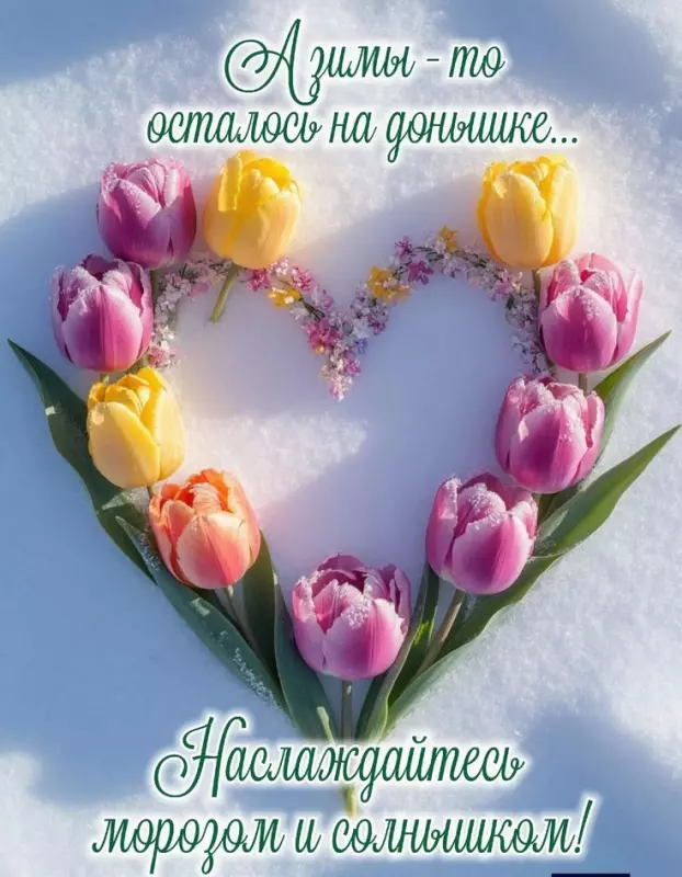 Tapтaлeтки & Ко