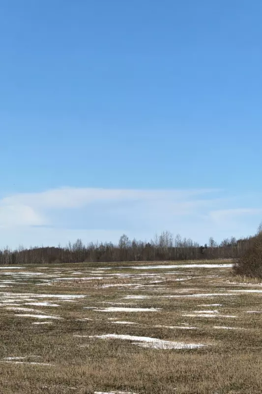 Tapтaлeтки & Ко