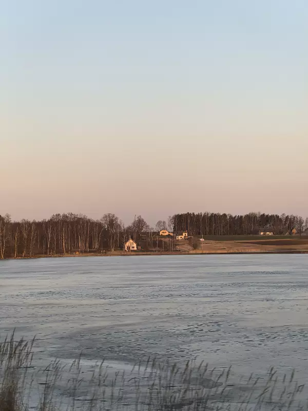 Tapтaлeтки & Ко