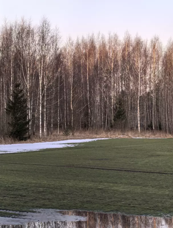 Tapтaлeтки & Ко