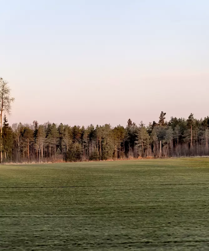 Tapтaлeтки & Ко