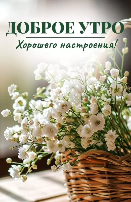 Tapтaлeтки & Ко