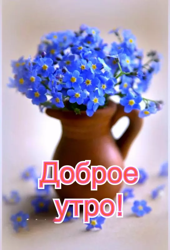 Tapтaлeтки & Ко