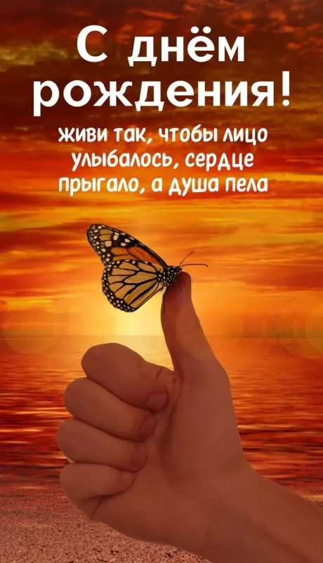 Tapтaлeтки & Ко