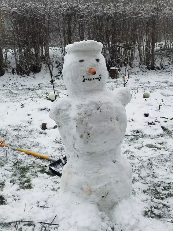 Tapтaлeтки & Ко